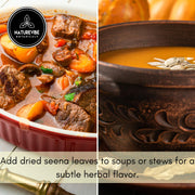 Naturevibe Botanicals Garlic Ground Powder, 5lbs | Raw, Gluten-Free & Non-GMO | Healthy Spice | Adds Flavor and Taste | [Packaging May Vary]