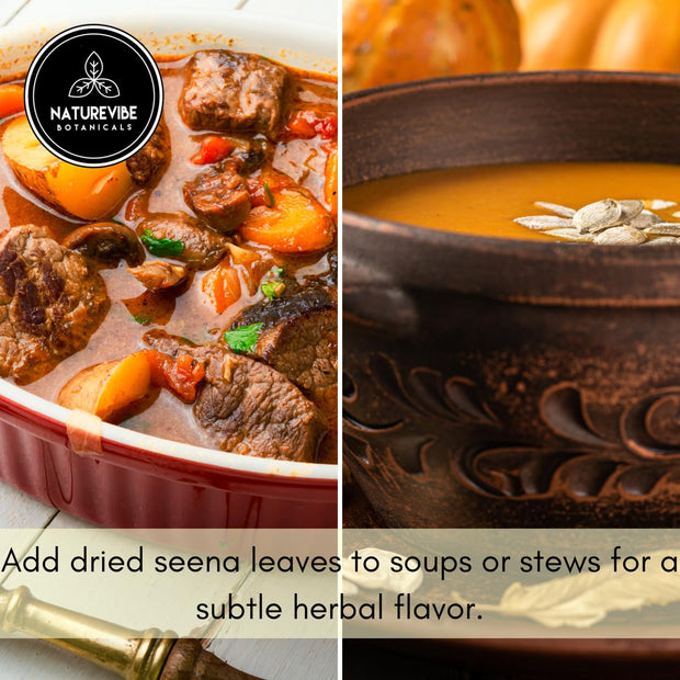 Naturevibe Botanicals Garlic Ground Powder, 5lbs | Raw, Gluten-Free & Non-GMO | Healthy Spice | Adds Flavor and Taste | [Packaging May Vary]