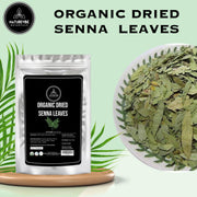 Naturevibe Botanicals Garlic Ground Powder, 5lbs | Raw, Gluten-Free & Non-GMO | Healthy Spice | Adds Flavor and Taste | [Packaging May Vary]