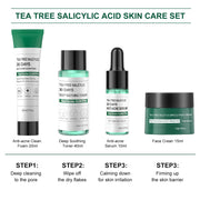 Skincare Mini Kit, Tea Tree Skin Care Sets & Kits, Acne Skincare Set Gifts, Anti Acne Facial Kit Gifts for Women,Cleanser, Toner, Serum, Cream,Oil Control Facial Kit, Airplane Friendly Sizes