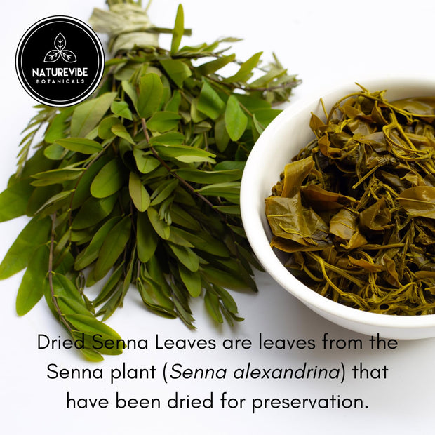 Naturevibe Botanicals Garlic Ground Powder, 5lbs | Raw, Gluten-Free & Non-GMO | Healthy Spice | Adds Flavor and Taste | [Packaging May Vary]