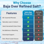 Saltix Baja Mineral Sea Salt – Fine Grind, 8 oz (1/2 lb), 160+ Servings – 100% Natural & Unrefined, Hand-Harvested from the Sea of Cortez – Mineral Rich, Low Sodium, Perfect for Cooking, Finishing & Hydration