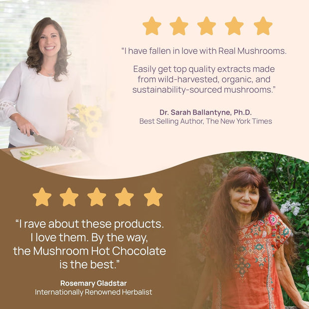 Real Mushrooms Organic Hot Chocolate Mix with Reishi, Turkey Tail, Chaga, Shiitake, Maitake – Cacao Powder Organic Mushroom– 5 Defenders Mushroom Cacao Powder, Vegan, Gluten-Free, 15 Servings