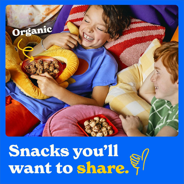 MadeGood Granola Bites Chocolate Chip & Mixed Berry Variety Pack (28 Count) Gluten Free and Organic Snacks