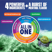 Mucinex Maximum Strength Fast-Max Cold & Flu and Nightshift, All-in-One Multi Symptom Relief Liquid, 6 Fl Oz - 2 Count (Pack of 1)