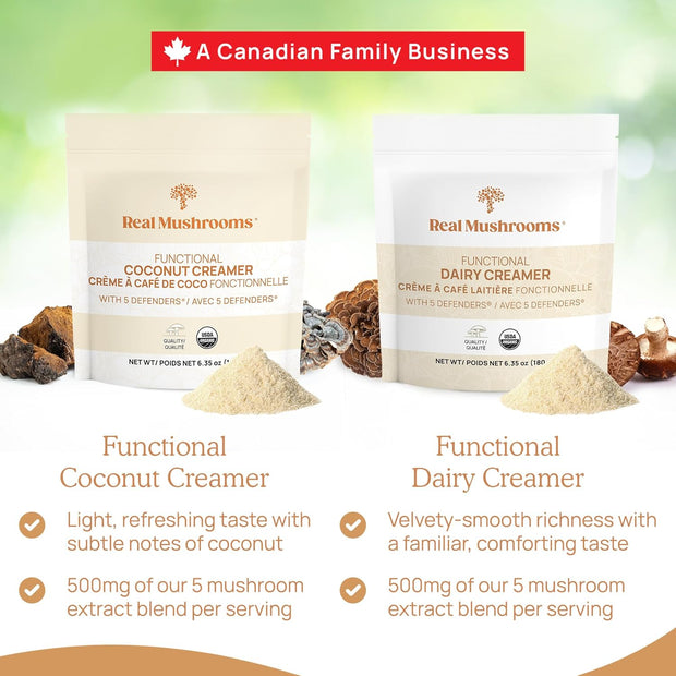 Real Mushrooms Organic Hot Chocolate Mix with Reishi, Turkey Tail, Chaga, Shiitake, Maitake – Cacao Powder Organic Mushroom– 5 Defenders Mushroom Cacao Powder, Vegan, Gluten-Free, 15 Servings