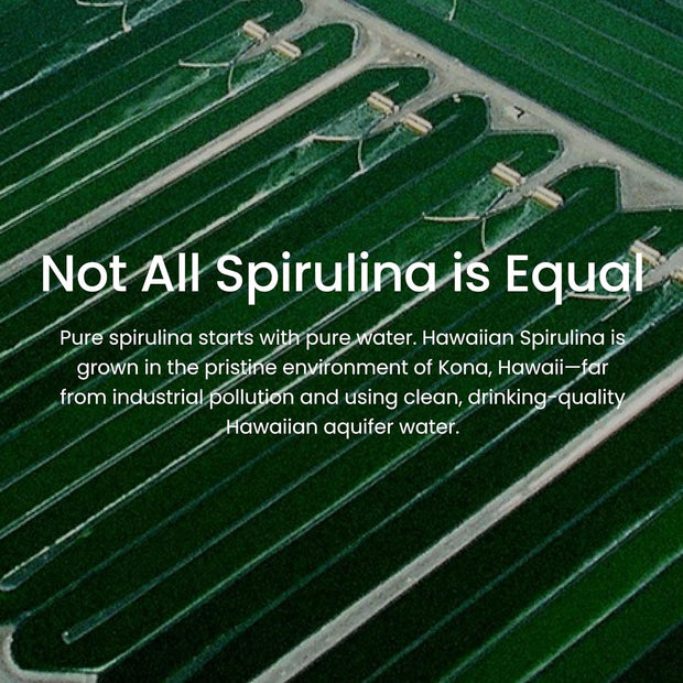 Nutrex Hawaii, Pure Hawaiian Spirulina Powder, Vegan, Supports Immune System, Heart, Cells and Energy, 16 Ounce