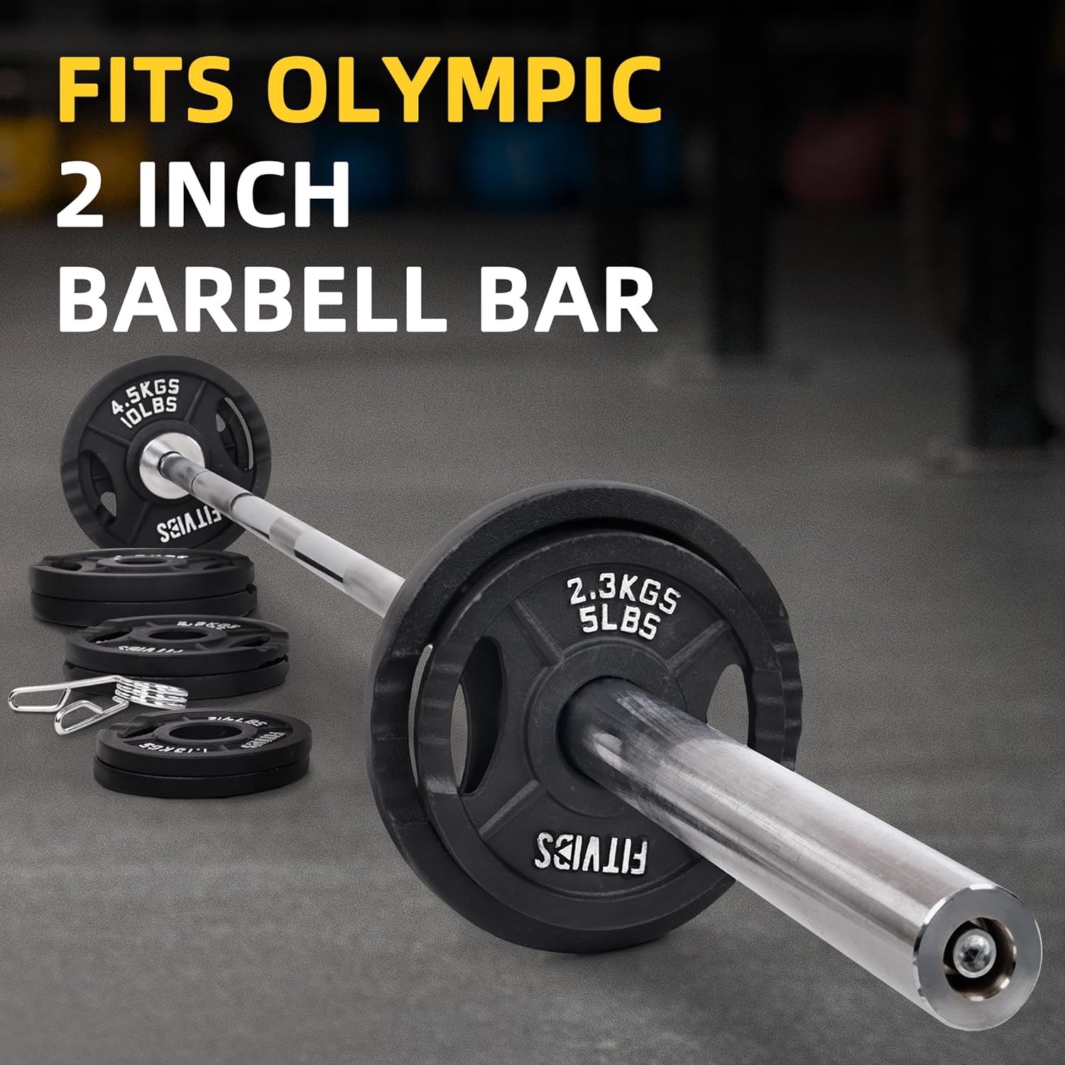 2-Inch Olympic Cast Iron Plate Weight Plate for Strength Training and Weightlifting, Multiple Sizes