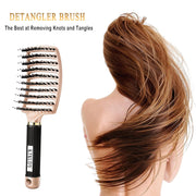 KTKUDY Detangling Brush Getting Knots Out without Pain - Boar Bristles HairBrush Make Hair Shiny & Healthier Vented Detangler Brush for Women Men Kids Wet and Dry Hair (Gold & Green)