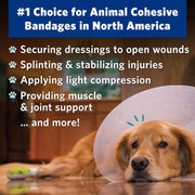 PetFlex No Chew – Flexible Self-Adhering Elastic Bandage for Wound Care – First Aid Wrap for Small Animals Like Dogs, Cats, and Other Pets - 2 inch, 2 Rolls