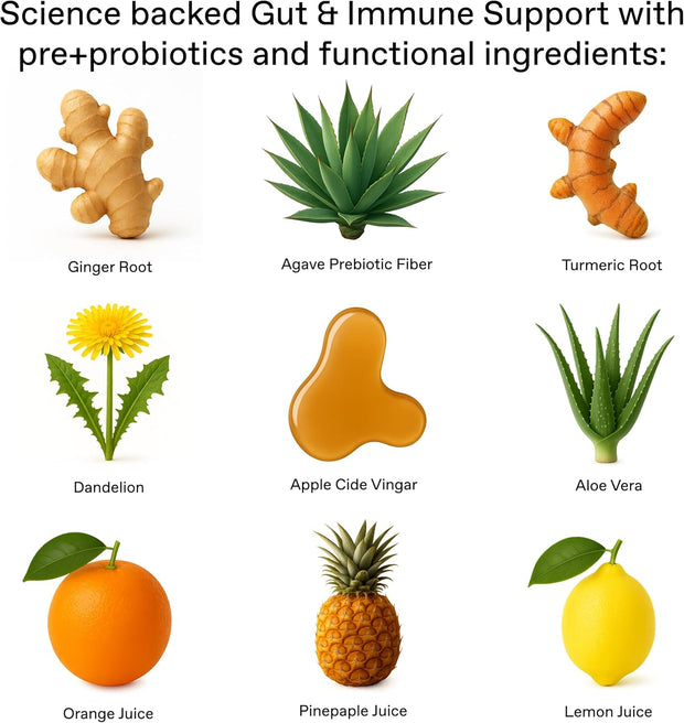 +GNGR Immunity Booster Organic Ginger and Turmeric Shot - Cold Pressed Ginger Shots with Turmeric, Cayenne Pepper, Orange, Lemon for All Natural Immune & Digestive Support (2 Oz, Pack of 12)