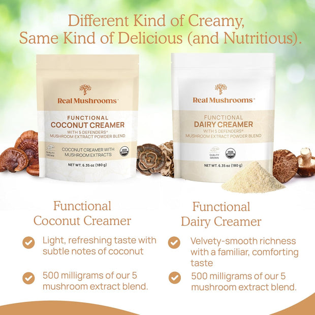 Real Mushrooms Organic Hot Chocolate Mix with Reishi, Turkey Tail, Chaga, Shiitake, Maitake – Cacao Powder Organic Mushroom– 5 Defenders Mushroom Cacao Powder, Vegan, Gluten-Free, 15 Servings