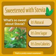 Zevia Zero Sugar Soda, Cream Soda, 12 Ounce Cans (Pack of 12)