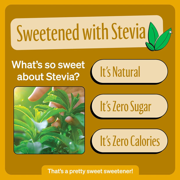 Zevia Zero Sugar Soda, Cream Soda, 12 Ounce Cans (Pack of 12)