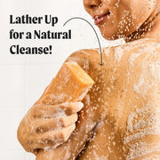 Jukebox Watermelon Disco Natural Bar Soap for Women Bathroom and Bath Soap, 4.5 oz (Mango)