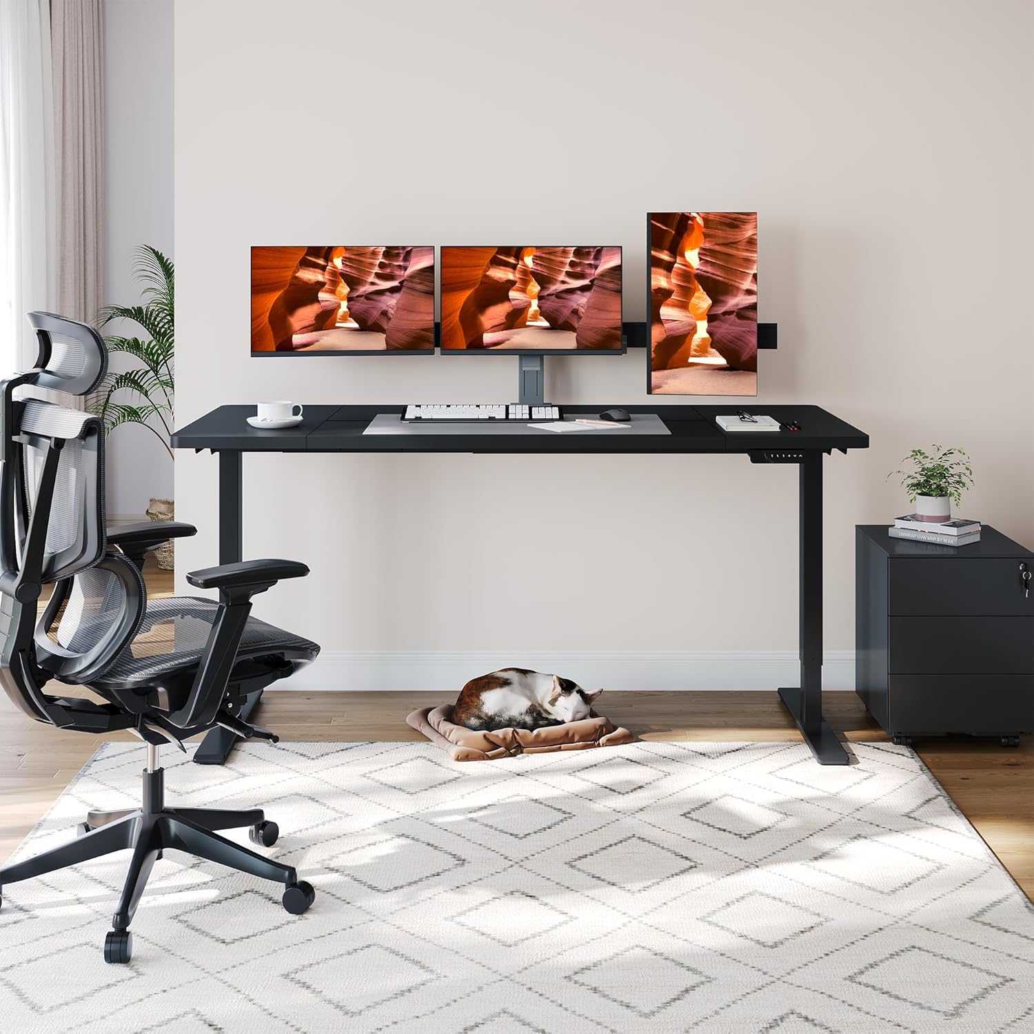Dual Motor Standing Desk, Large Stand Up Desk, 71x31 Inches Electric Sit Stand Desk, 4 Memory Preset Adjustable Height Desk Home Office Desks(Black)