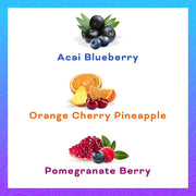 Yerbaé Energy Seltzer - Variety Performance Pack. No Sugar/Calories/Carbs. Energized by Yerba Mate Naturally Caffeinated Plant-Based, Healthy Alternative to Coffee/Sugary Sodas, Pack of 12, 12oz cans