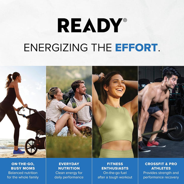 Ready® Protein Bars - Nut Free Bundle - Dark Chocolate Sea Salt + Chocolate Chip + Vanilla Swirl + Mint Chocolate Chip Bundle (3-Packs of 12, 1-Pack of 5, 41 Total)