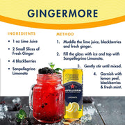 San Pellegrino Sparkling Water Variety- 4 Flavors 24 Pack 6 Cans of Each