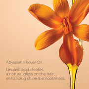 L'ANZA Keratin Healing Oil Lustrous Finishing Spray, Hair Spray Boosts Shine & Volume, Long Lasting Hold, Anti Frizz Finish & Thermal Protectant Mist, Cruetly Free Styling, New Bottle (10.6 Fl Oz)