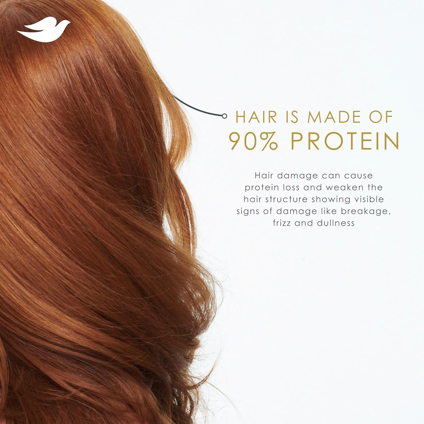 Dove Damage Therapy Shampoo Daily Moisture for Dry Hair with Bio-Protein Care Technology and Hyaluronic Serum 28 Fl Oz