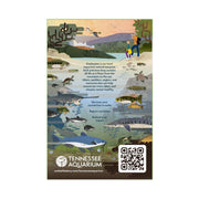 Sunbelt Bakery Oats & Honey Chewy Granola Bars, 14.26 Oz. 15 Count (Box of 1)