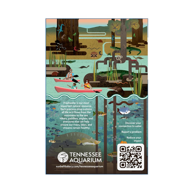 Sunbelt Bakery Fudge Dipped Chocolate Chip Chewy Granola Bars, Value Pack, 15 Count (Pack of 1)