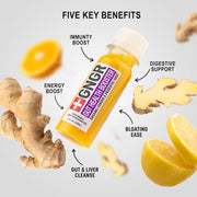 +GNGR Immunity Booster Organic Ginger and Turmeric Shot - Cold Pressed Ginger Shots with Turmeric, Cayenne Pepper, Orange, Lemon for All Natural Immune & Digestive Support (2 Oz, Pack of 12)