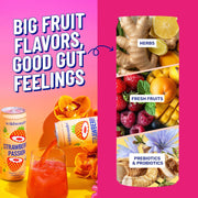 wildwonder Sparkling Probiotic Drink 12pk, For Gut Health & Immune Support, Classic Variety Pack, 5g Prebiotic Fiber, Live Probiotics, Organic, Vegan, Low Sugar, 12 Pack, 12oz Can, Seen on Shark Tank