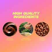 Misfits Vegan Protein Bars - Updated Gluten Free Recipe | Plant Based, Low Sugar & Carb, High Fiber Snacks | Variety Pack of 12 (4 Flavors)