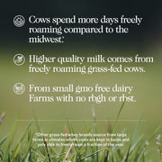 Whey Chocolate Peanut Butter Protein Powder, Grass Fed Whey, No GMO, No Soy, and Gluten Free. Nothing Artificial, Aid Growth and Recovery - 21 Servings