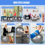 Leyndo 4 Pcs 26 Inch Yoga Exercise Ball Pilates Pregnancy Birthing Fitness Ball with Quick Pump Anti Burst for Improved Posture, Balance, Yoga, Pilates, Training