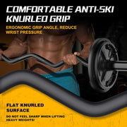 Olympic EZ Curl Barbell Bar, 47" Curl Bar for Weight Lifting, Home Gym Weight Bar- Strength Training,Squat,Hip Thrusts,Biceps, Chrome Curling for 2 Inch Plates -2 Spring Collars (Silver)