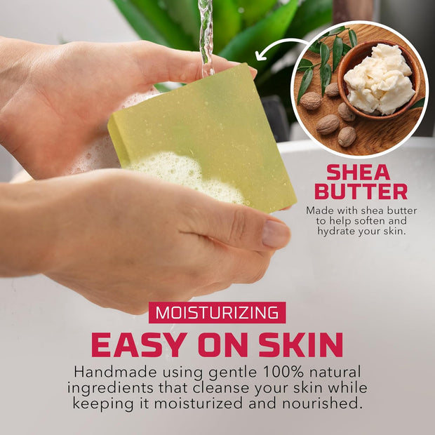 Natural Bar Soap for Women - Vegan Bath Soap Bars Gift Set - Handmade Cold Process Artisan Soap with Essential Oil, Aromatic All Moisturizing Wash Soaps, Fragrant Fruity Scent by Age of Sage (4 Pack)