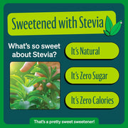 Zevia Zero Calorie Soda, Ginger Ale, 12 Ounce Cans (Pack of 6)