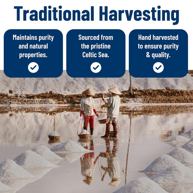 Saltix Grey Sea Salt Grey Coarse 1lb Harvested in France | 100% Natural, Organic and Unrefined | Rich in 82+ Minerals, Resealable bag (1/2lb 2 Pack)