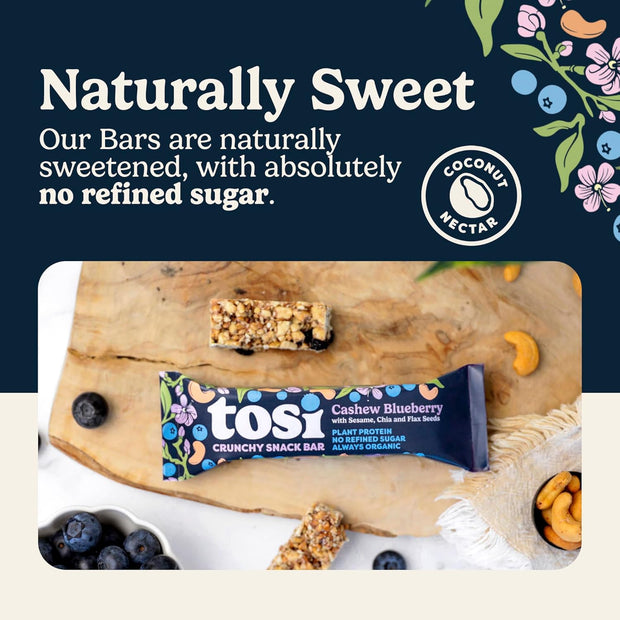 Tosi Nut Bars, Cashew Blueberry, Healthy Snacks for Adults & Kids, Plant Based Crunchy Bars (6G Protein), Organic Keto Snacks, Vegan, Gluten & Soy Free, Low Sugar, Omega 3s, 1oz, 12-Pack
