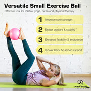 ProBody Pilates Small Exercise Ball - 9 Inch Workout Ball for Stability, Barre, Yoga, Core & Physical Therapy