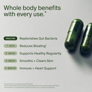 Seed DS-01 Daily Synbiotic & DM-02 Daily Multivitamin Bundle - Probiotic and Multivitamin for Women and Men - Vegan - 30-Day Supply