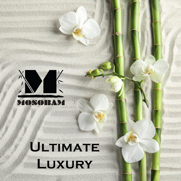 Mosobam Luxury Turkish Set of 2 Bath Towels 30X58 Light Taupe Oversize 700 GSM Bamboo Viscose & Aegean Turkish Combed Cotton