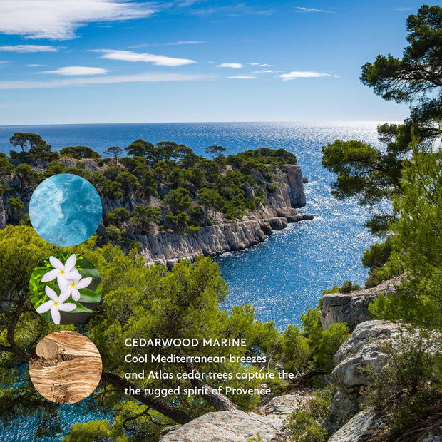 Mistral Cedarwood Marine Luxury Bar Soap for Men | Men’s Natural Soap Bar | Paraben, Phthalates Free | Moisturizing & Triple-Milled Natural Soap for Men - Made in France | Large, 8.8 oz