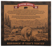 Kodiak Crunchy Granola Snack Bars, Chocolate Chip, High Protein, 100% Whole Grains, 1 box with 6 pouches (12 bars)