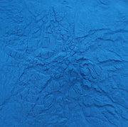 Naturejam Organic Blue Spirulina Powder 1 Pound Bulk-Premium Culinary Grade for Smoothies