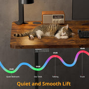 Simple Deluxe Electric Standing Desk, Standing Desk Adjustable Height, 24x40 Inches Sit Stand up Desk, Ergonomic Rising Computer Table with Memory Preset, Rustic Brown