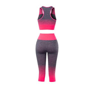 Women's Super Elastic Seamless Gradual Change of Color Sports Bra Cropped Pants Fitness Suit Yoga Suit Set