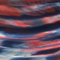 Oceanfoam Tidal Roller - Natural - Muscle Massage Foam Roller for Back Pain & Stretching - Firm and Ergonomic Wide Wave Textured - Yoga, Athletics, & Wellness - Full Size, 20" x 5"