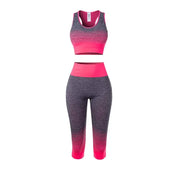 Women's Super Elastic Seamless Gradual Change of Color Sports Bra Cropped Pants Fitness Suit Yoga Suit Set