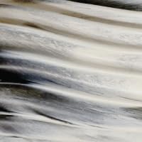 Oceanfoam Ripple Travel Foam Roller (11" x 3.35") Firm Mini Foam Roller for Physical Therapy, Deep Tissue Massage, Back Pain - High Density, Ergonomic Wave Textured - Yoga, Exercise (Black Marbled)