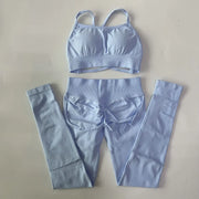 No Logo Seamless Yoga Set 2 Pieces Women Workout Set Scrunch Leggings Backless Sports Bra Fitness Top Gym Pants Clothes